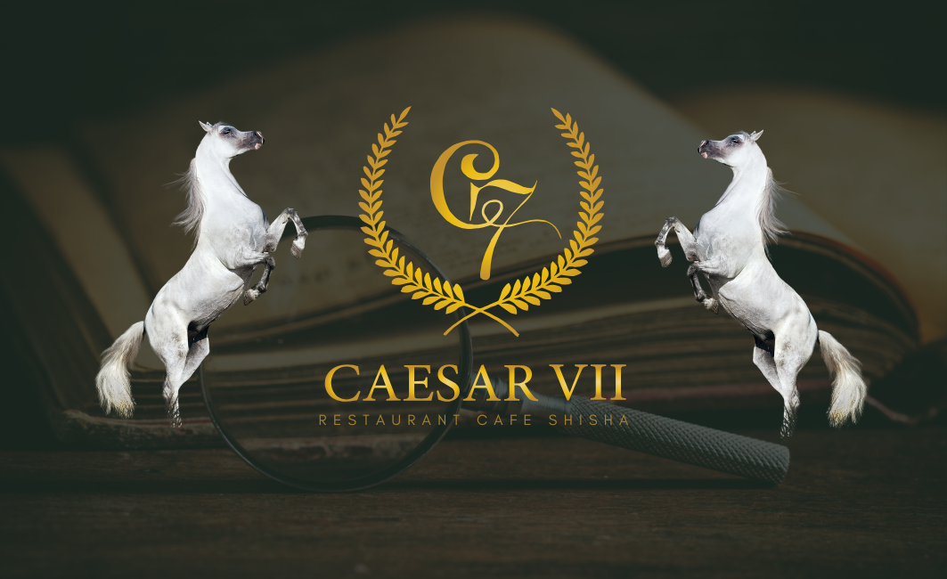 Our Vision